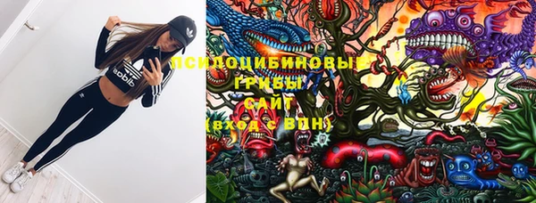 спиды Липки